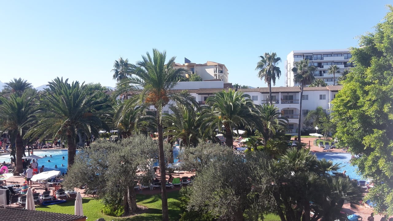 Ausblick Alcudia Garden Aparthotel