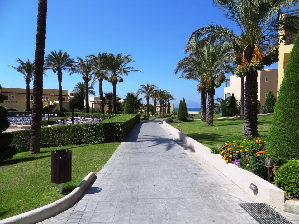 Immer gepflegt. Hotel Horizon Beach Resort