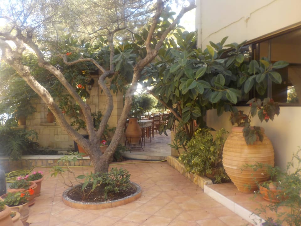 Vor dem Haupteingang Hotel Paradise