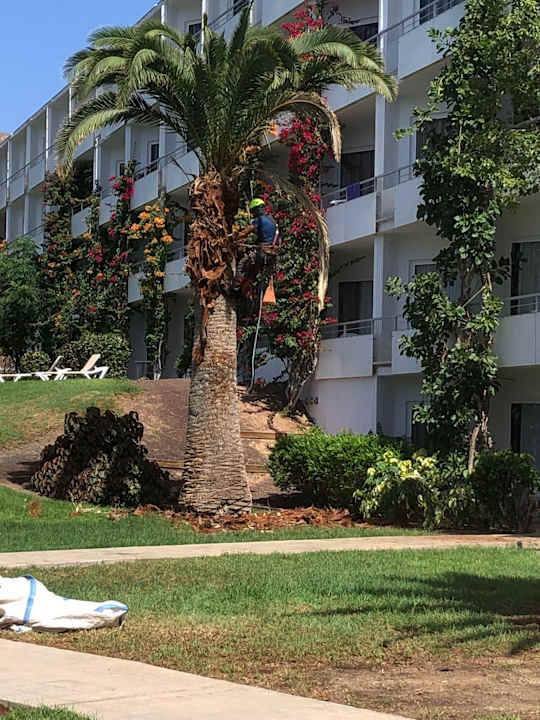 Außenansicht allsun App.-Hotel Esquinzo Beach