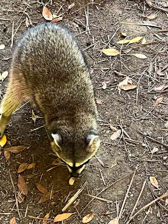 Sonstiges Bahia Principe Grand Tulum