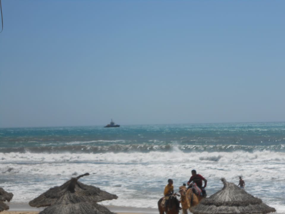 Am Strand AQI Venus Beach