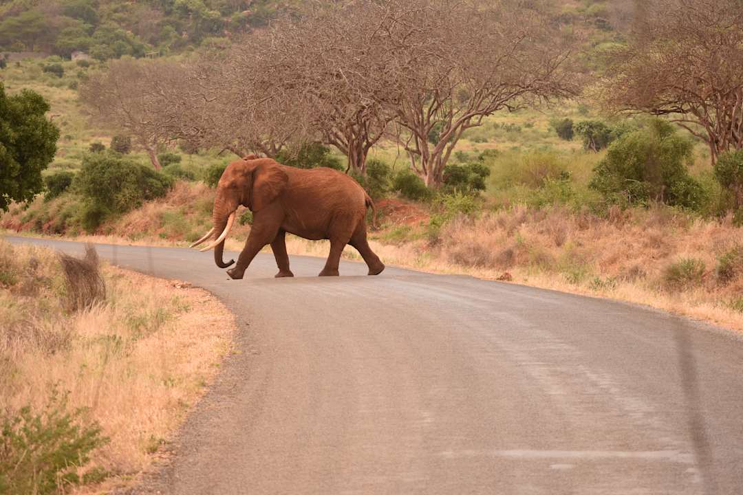 Sonstiges Neptune Village Beach Resort & Spa