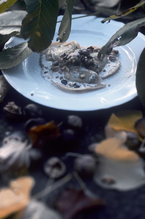 Home made tortelli al cervo Hotel Tenuta Di Ricavo