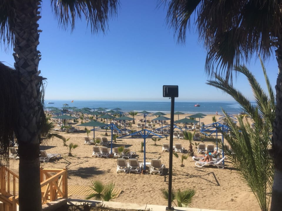 Strand Paloma Oceana
