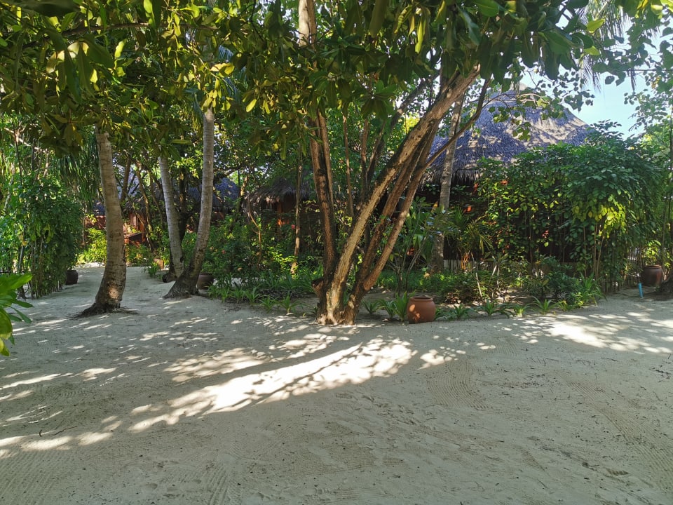 Sonstiges Mirihi Island Resort