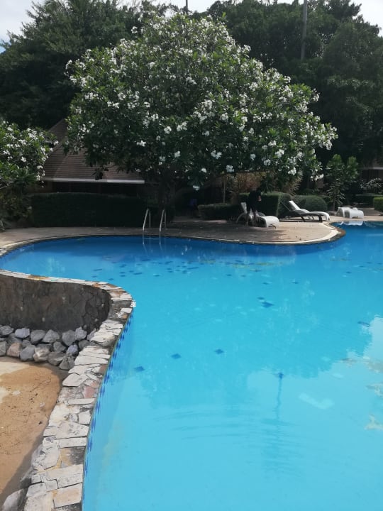 Pool Coral Grand Resort Koh Tao