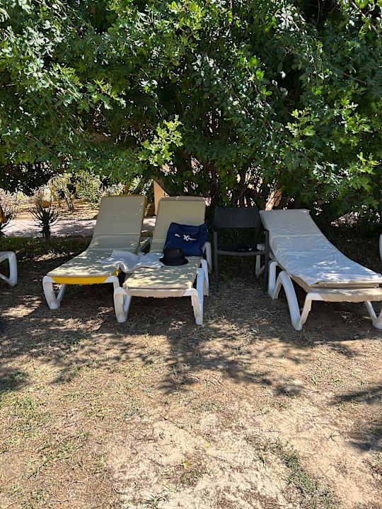 Gartenanlage Aldiana Club Djerba Atlantide