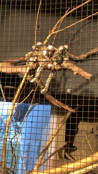 Sonstiges Ferienwohnungen Ferienpark Weissenhäuser Strand