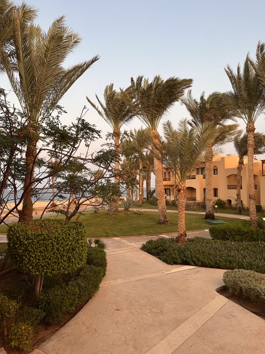 Gartenanlage Steigenberger Coraya Beach - Adults only