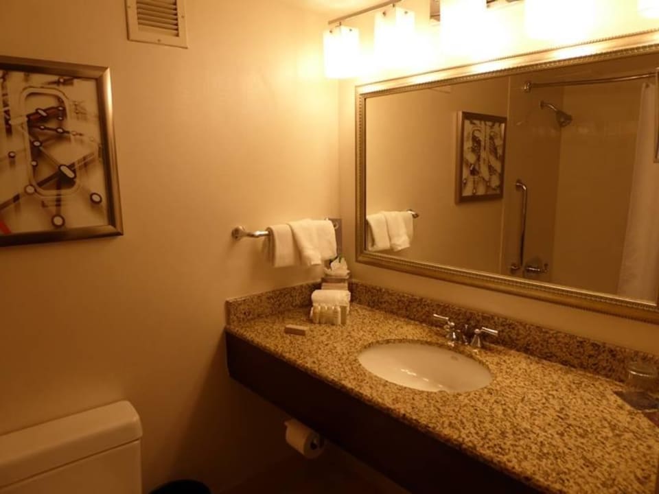 Lazienka Hotel Renaissance Newark Airport