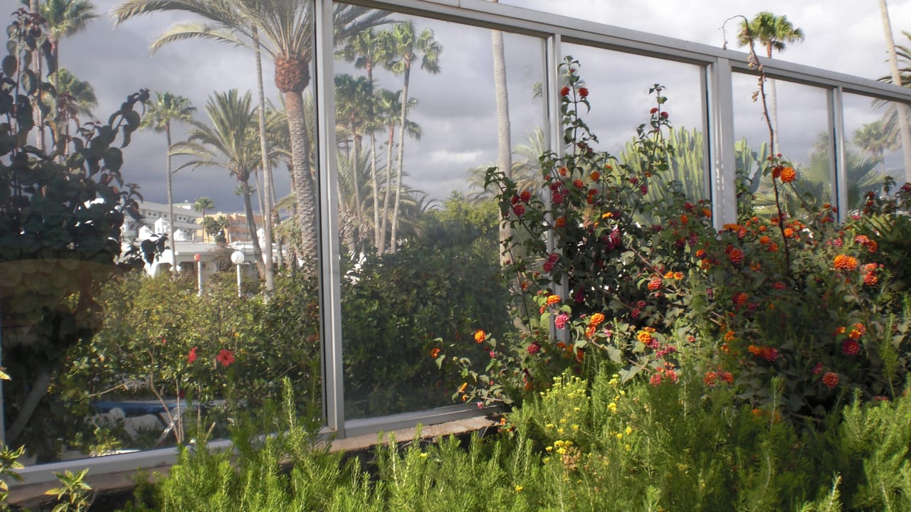 Gartenanlage Sahara Beach Club