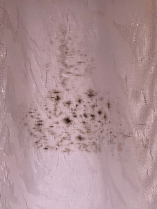 Zimmer Jardin Mariposa Retreat- und Seminarzentrum