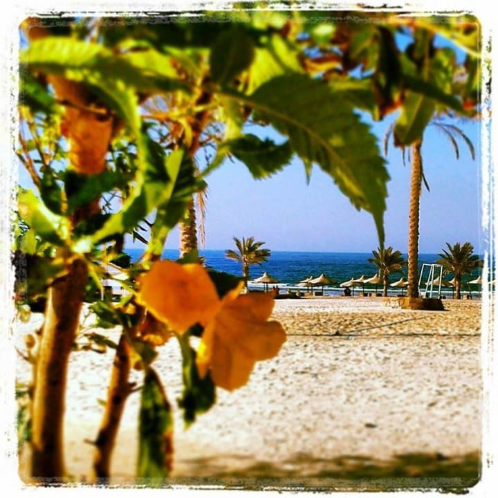 Widok z basenu na plazę Three Corners Sea Beach Resort