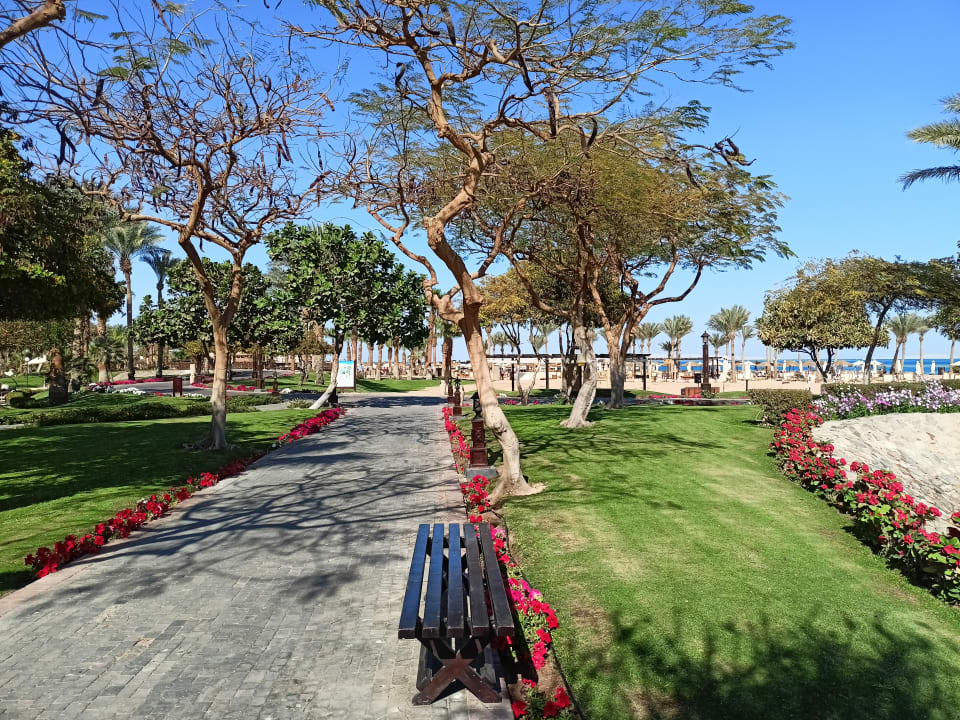 Gartenanlage Steigenberger ALDAU Beach Hotel