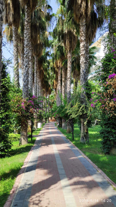 Gartenanlage Hotel Gardenia Beach