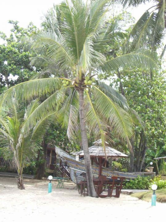 Vor der Strandbar. The Fair House Beach Resort