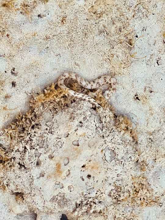 Strand Casa Mare Resort