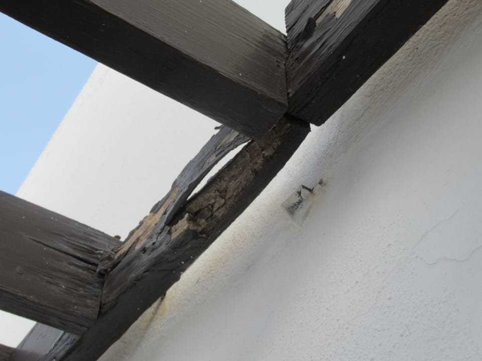 Zimmer allsun App.-Hotel Albatros