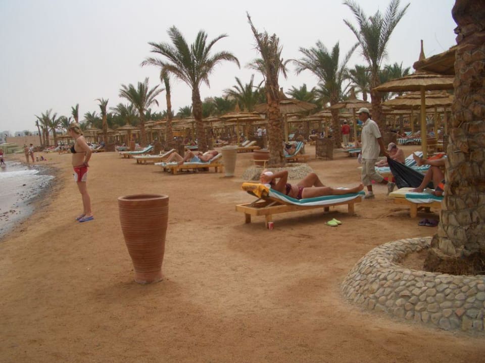 Strand Beach Albatros Resort