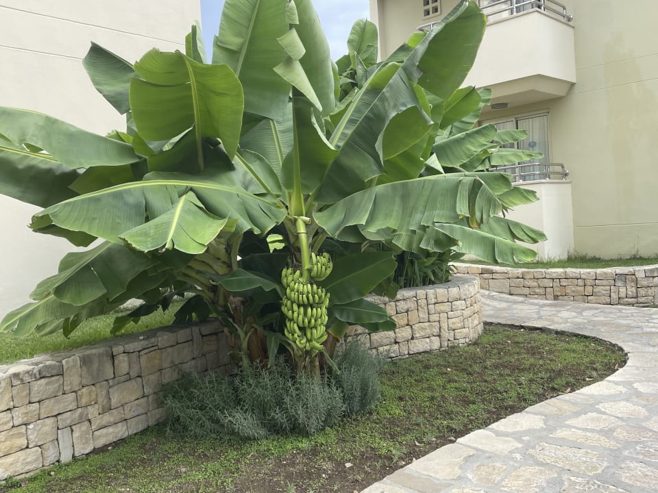Gartenanlage Melas Holiday Village