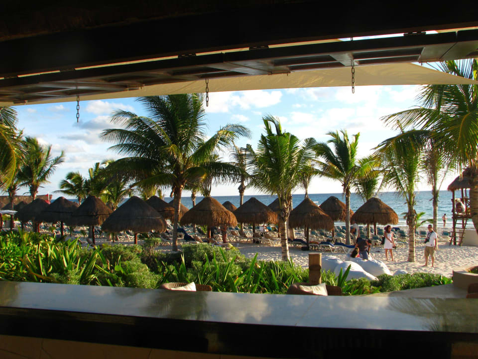 Blick zum Strand Catalonia Playa Maroma