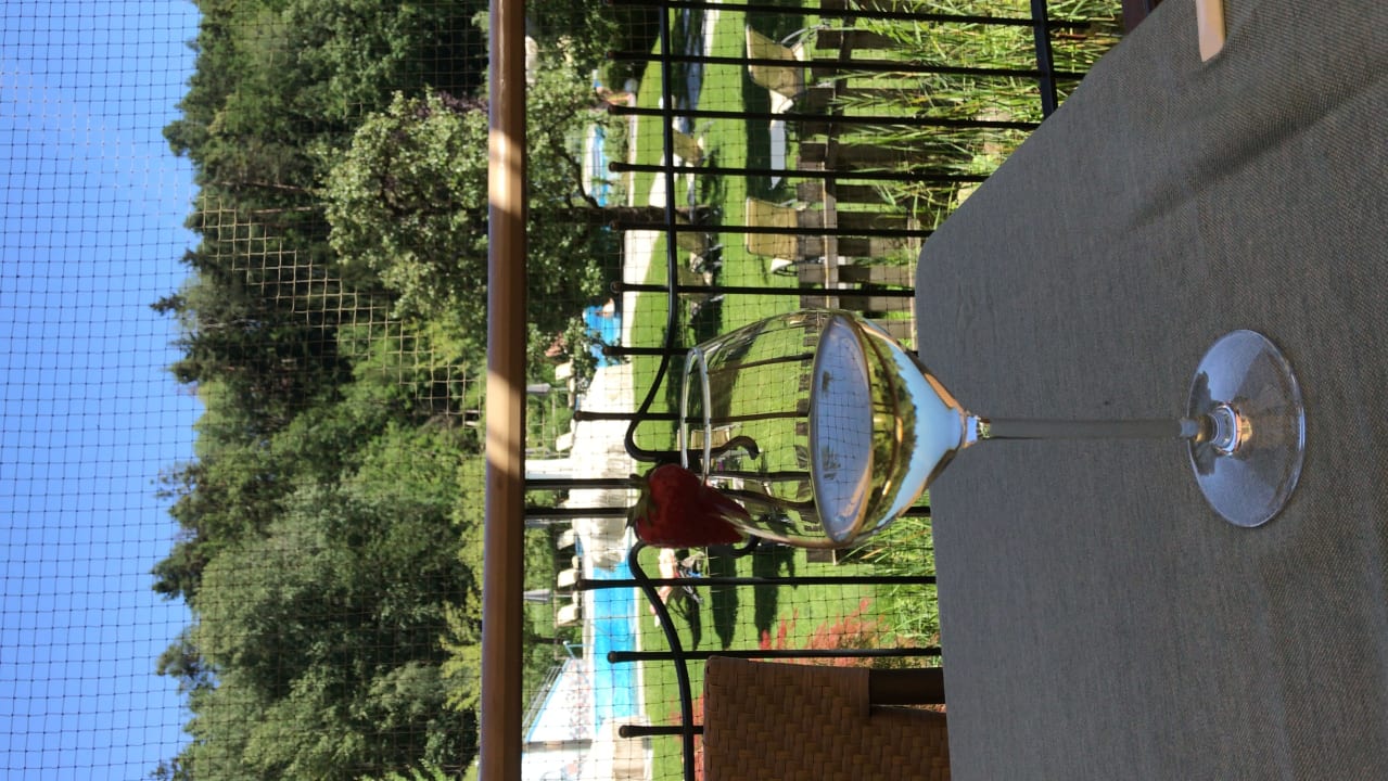 Gartenanlage Gartenhotel Moser