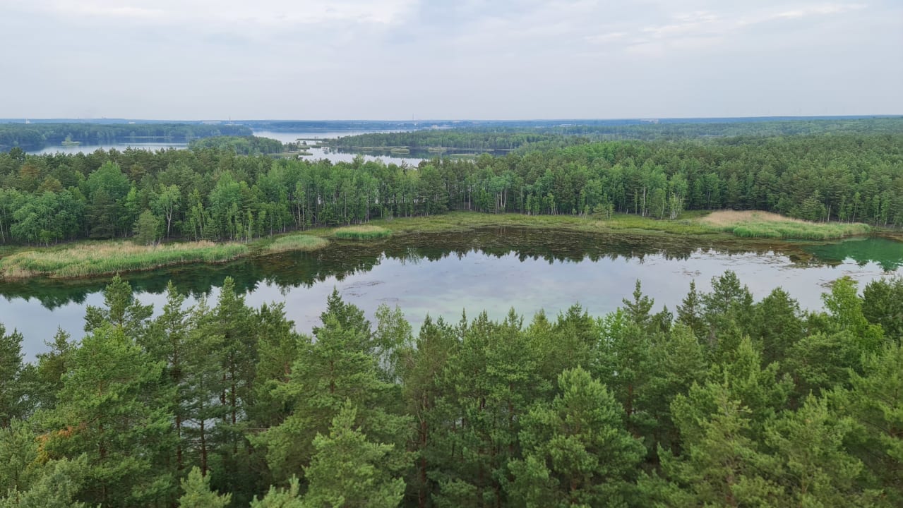 Ausblick Familienpark Senftenberger See