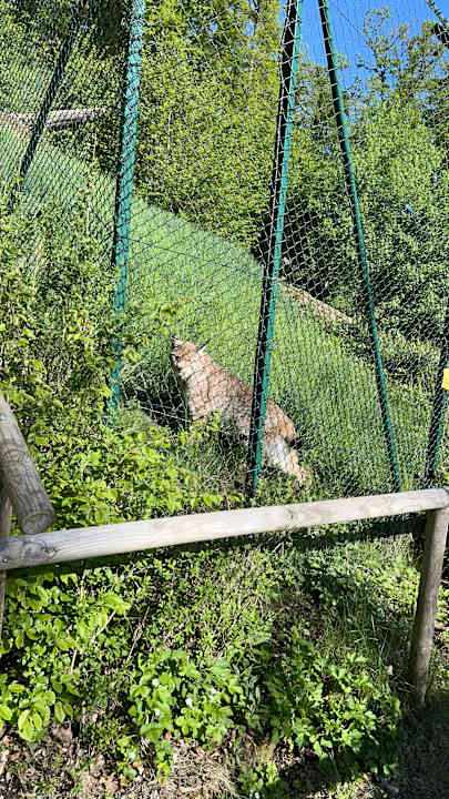 Sonstiges Natur-Resort Tripsdrill