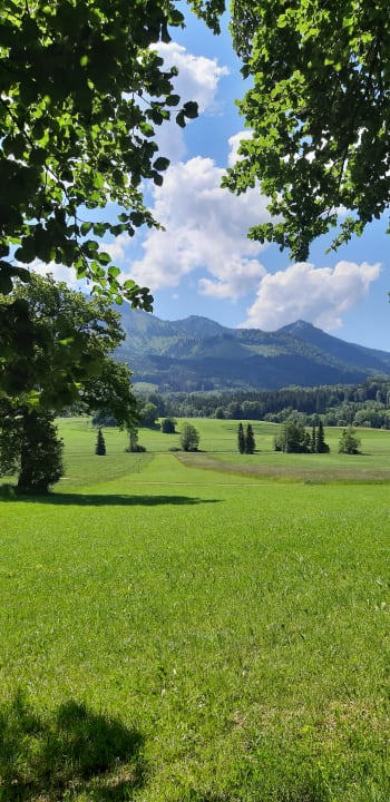Außenansicht Ferienwohnung Grüne Idylle