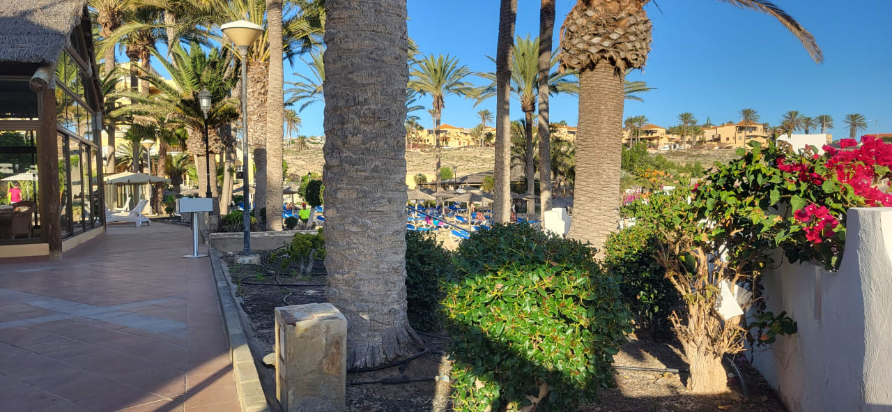 Gartenanlage SBH Costa Calma Beach Resort