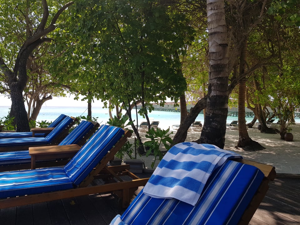 Pool Meeru Maldives Resort Island