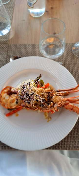 Gastro Barceló Tenerife Royal Level