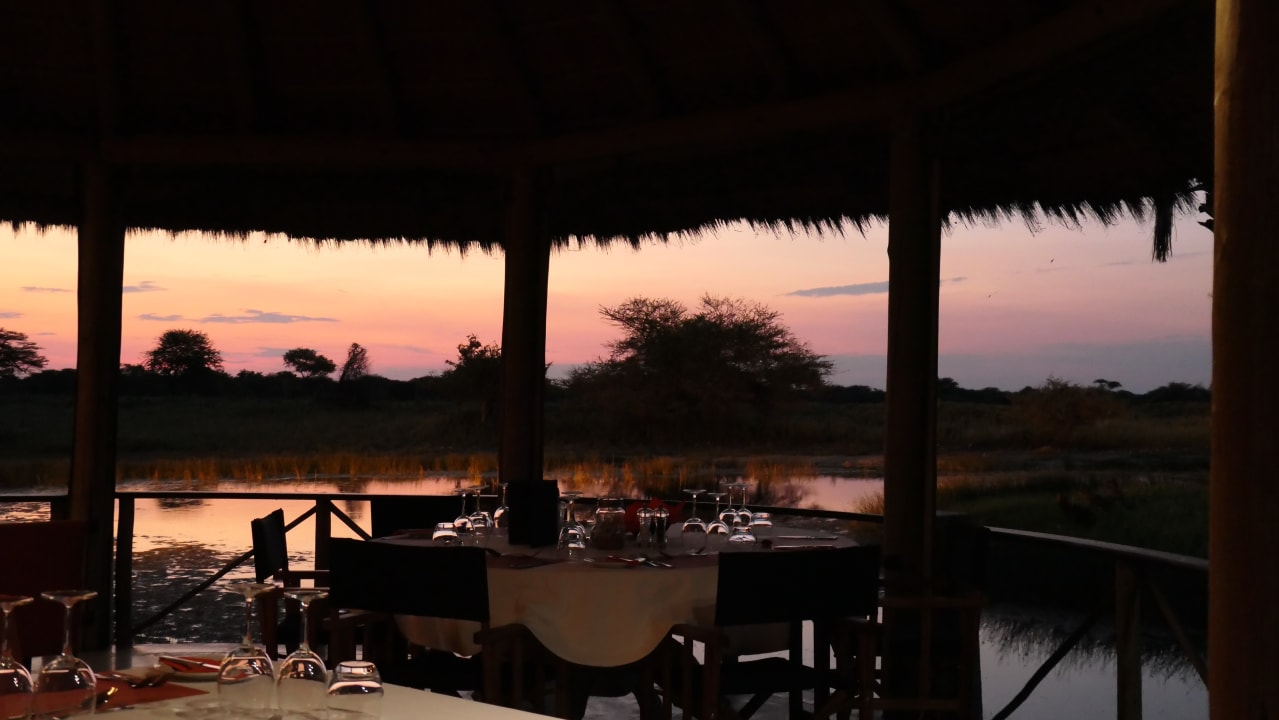 Gastro Onguma Safari Camps