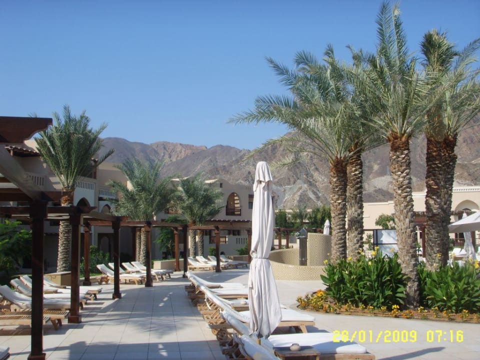 Poolbereich Miramar Al Aqah Beach Resort