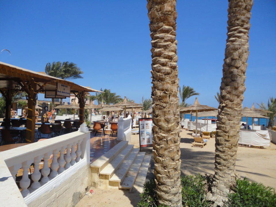 Plaża, resrauracja Pickalbatros Aqua Vista Resort - Hurghada