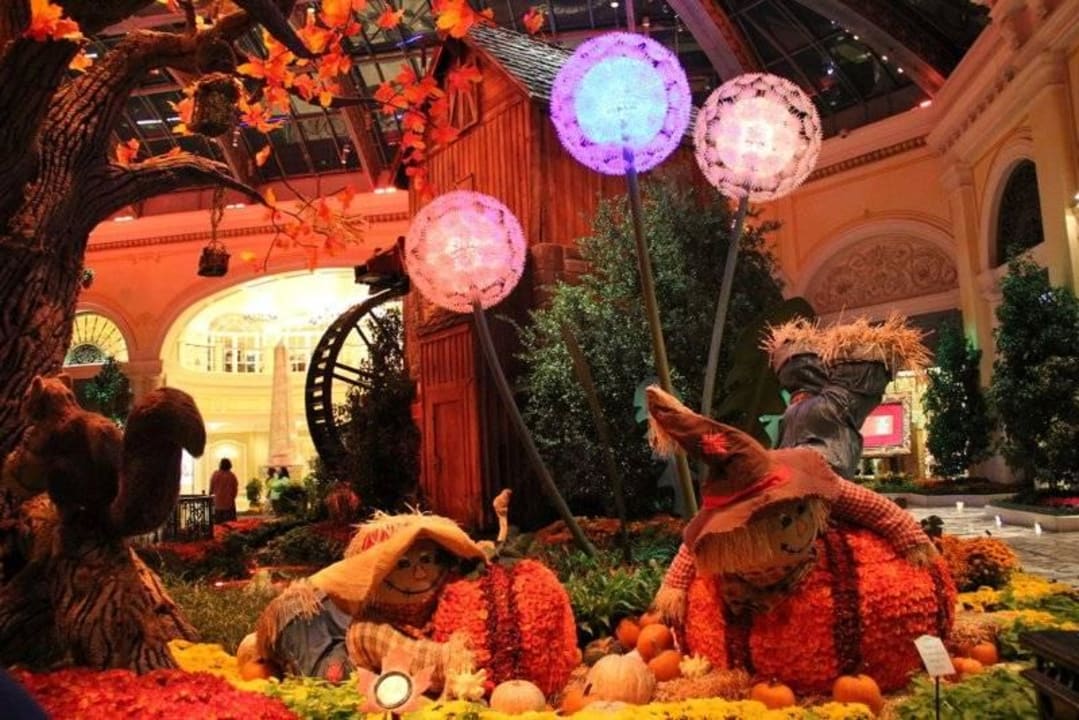 Märchenwald beim Restaurant Hotel Bellagio