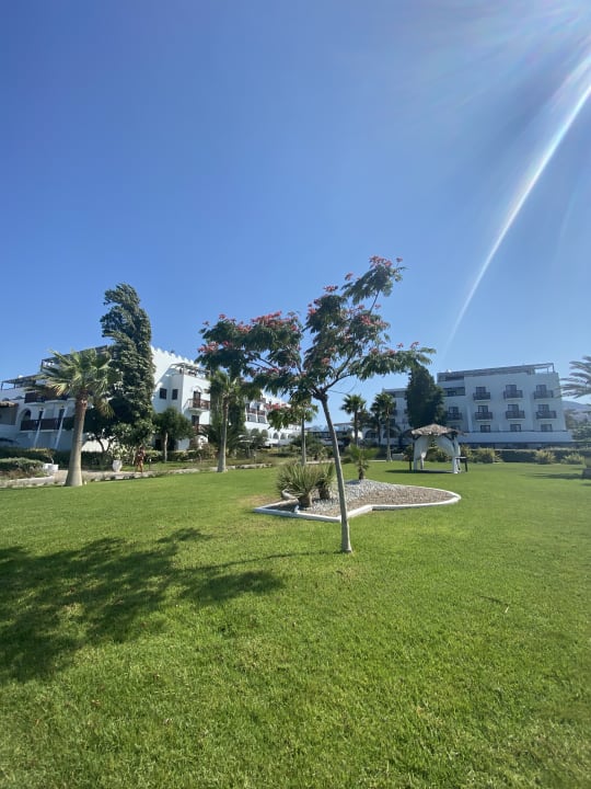 Gartenanlage TUI BLUE Oceanis Beach and Spa Resort