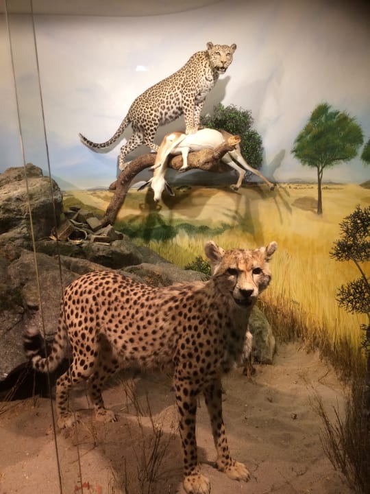 Lobby Hotel Klostergut Jakobsberg