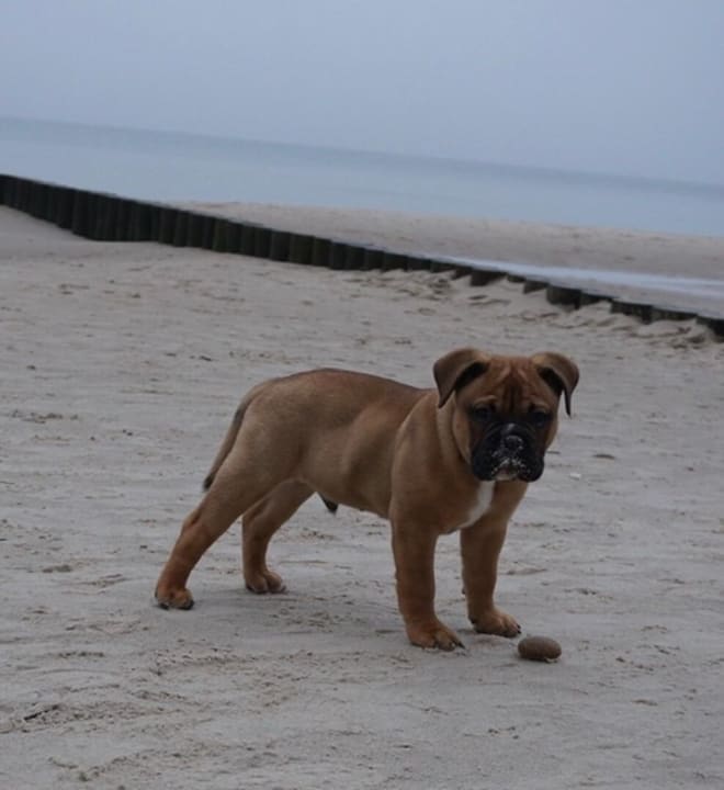 Strand Ferienanlage Vierjahreszeiten