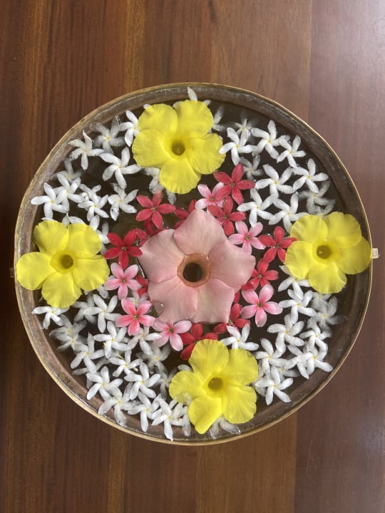 Sonstiges Surya Lanka Ayurveda Beach Resort