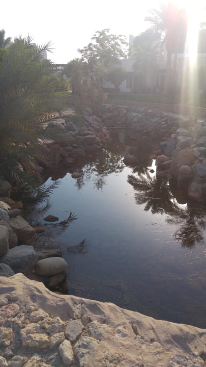 Teich Sharm Plaza