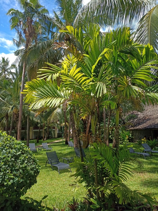 Gartenanlage Bahari Beach Hotel