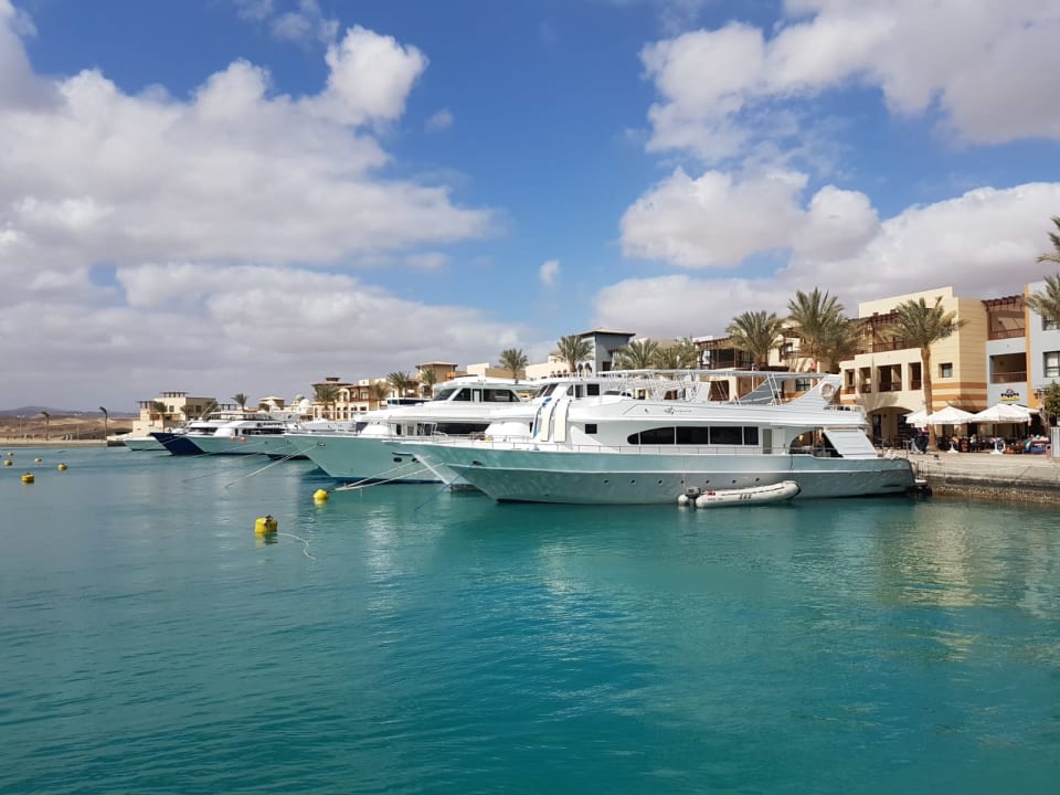 Ausblick Pickalbatros Palace Hotel-Port Ghalib