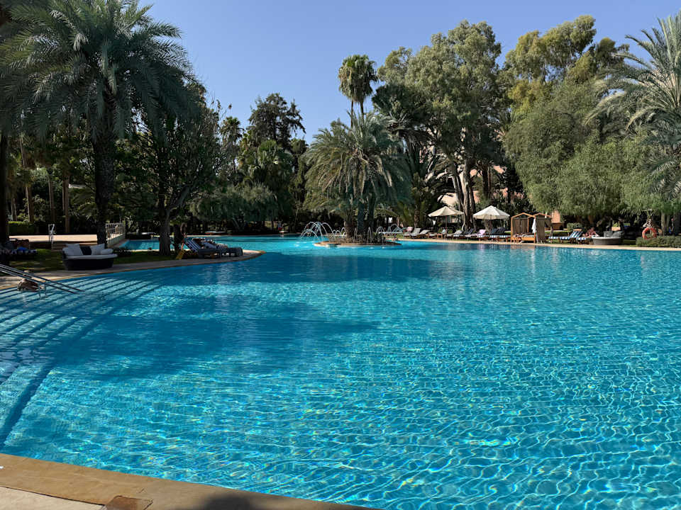 Pool Es Saadi Gardens & Resort - Palace