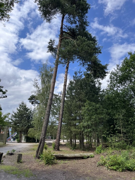 Gartenanlage Sunparks Kempense Meren