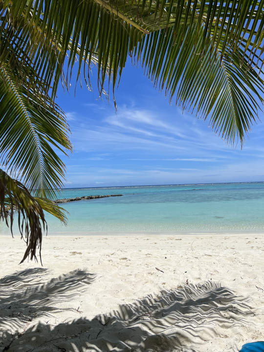 Ausblick Summer Island Maldives