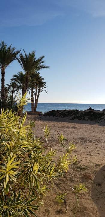 Ausblick Hotel El Mouradi Djerba Menzel