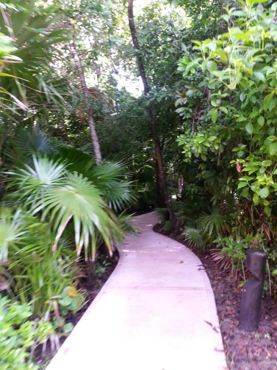 Hotel Catalonia Playa Maroma Catalonia Playa Maroma