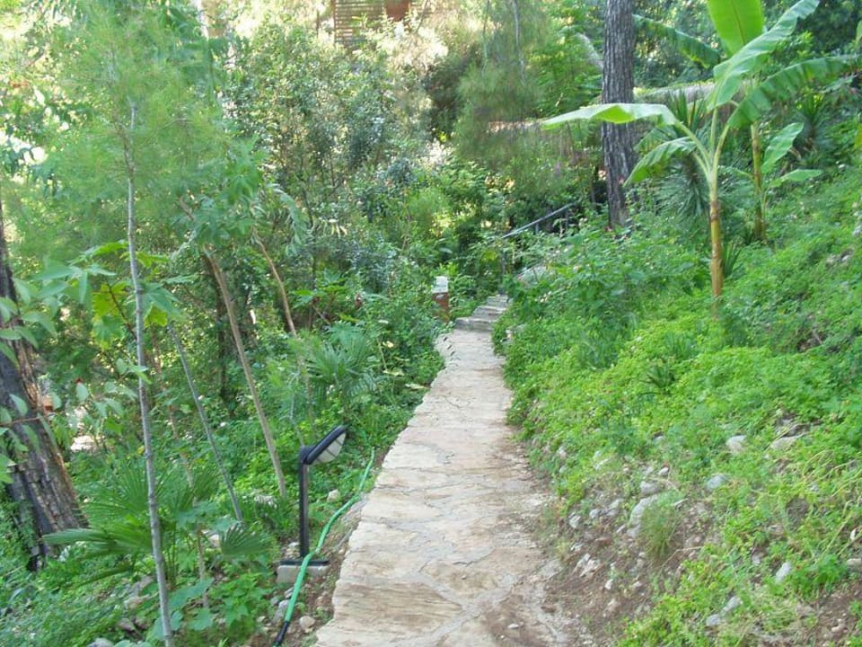 Der Garten im Hillside Beach Club Hillside Beach Club